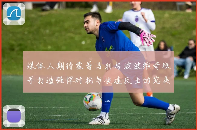 媒体人期待蒙哥马利与波波维奇联手打造强悍对抗与快速反击的完美结合