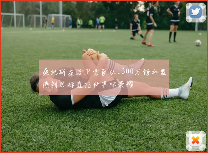 桑托斯左后卫索萨以1300万镑加盟热刺目标直指世界杯荣耀